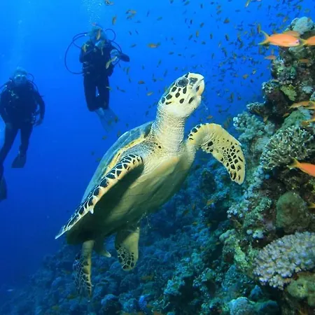 Amphitrite's Haven - Cycladic House In Marpissa, Paros Marpissa