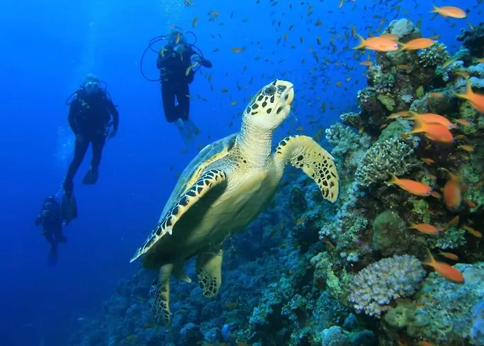 Amphitrite's Haven - Cycladic House In Marpissa, Paros Marpissa